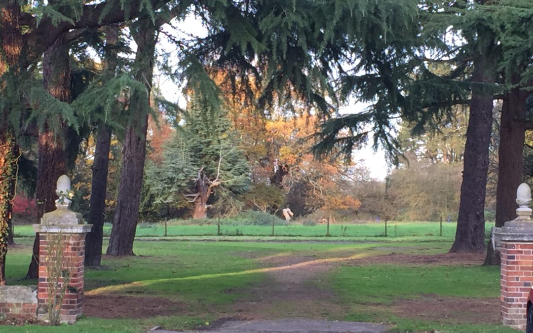 Schrijven vanuit “ik”