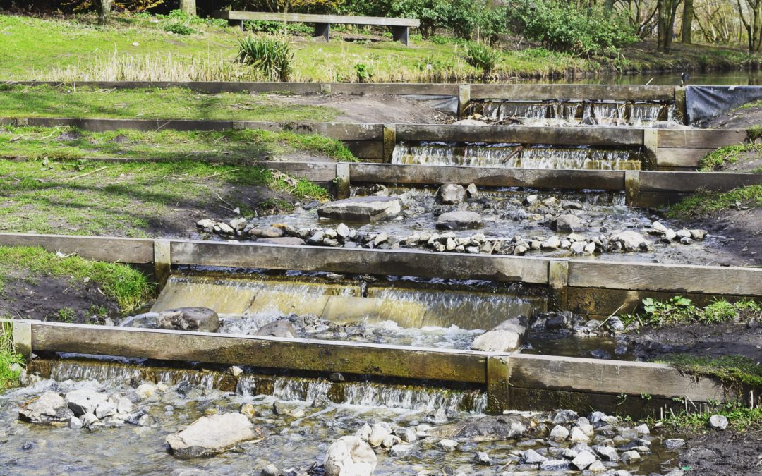 Ontspanning vinden en over flow