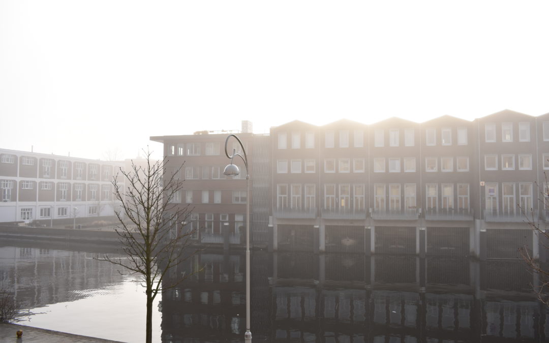 Één aandachtsgebied of multidisciplinair?