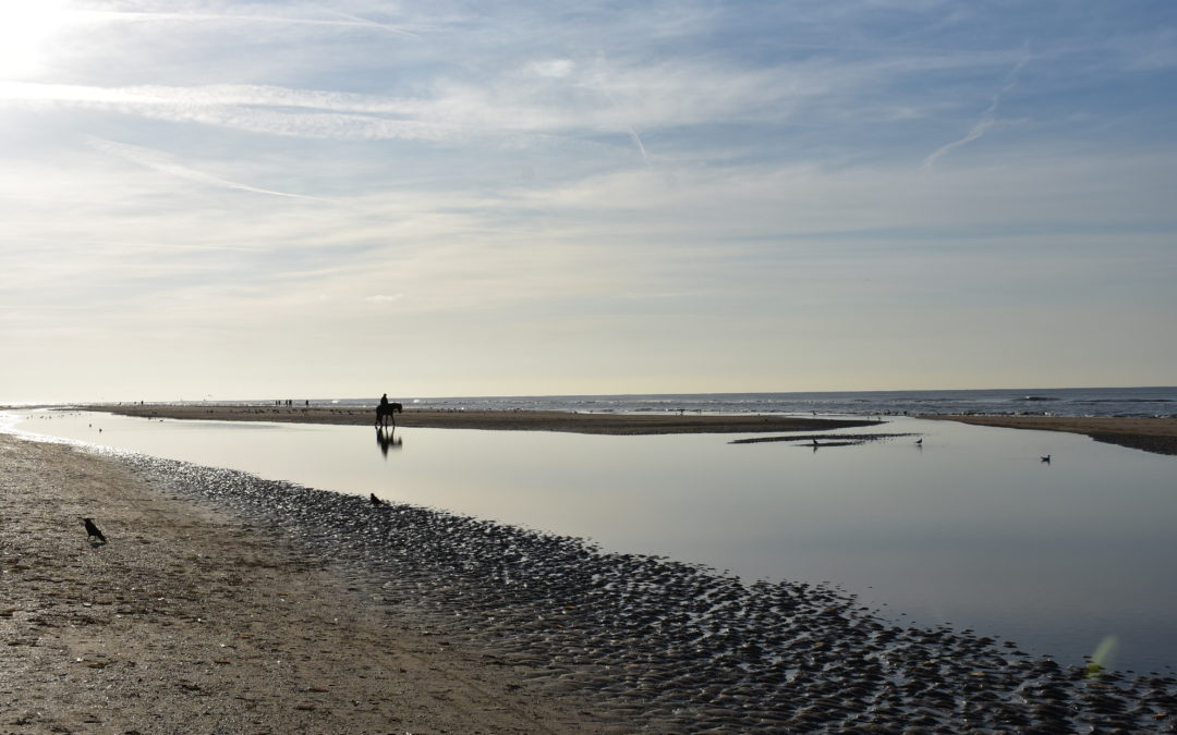 Transformatie in deze tijd